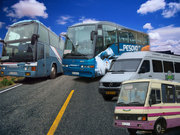 Замовлення та оренда автобусів та мікроавтобусів!!!